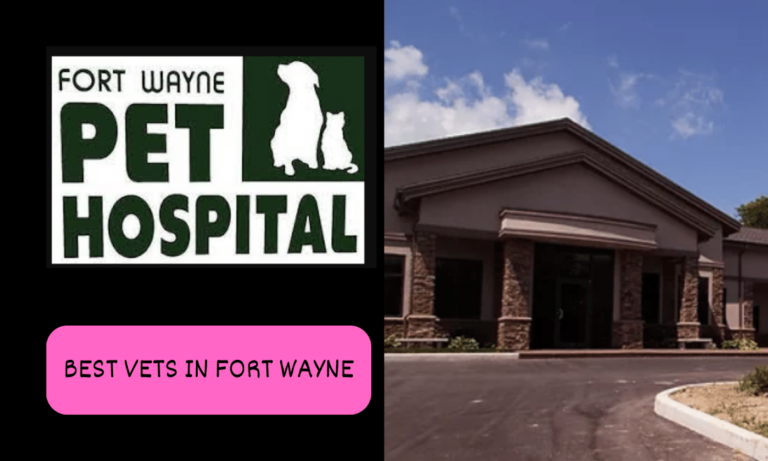 are there any vets in ft wayne that take pymnts